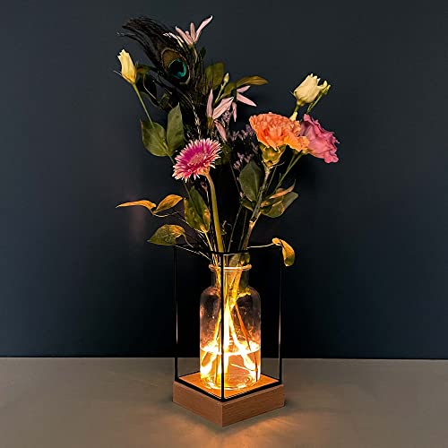 Gadgy® Beleuchte Vase Glas - LED Blumenvase für Wohnzimmer Deko Modern - Glasvase Skandinavische Deko - Blumenvase Modern - Deko Pflanzen Vase für Blumen - 22,5x10,8x10,8cm Schwarz von Gadgy