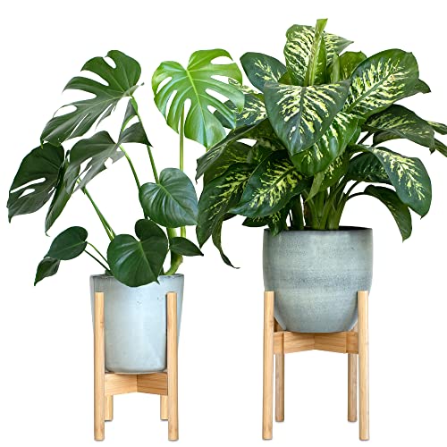 Gadgy Blumenständer Holz | 2er Set Bambus Pflanzenständer Holz | Verstellbare Blumentopf Ständer Holz für Töpfe bis Ø 30 cm | Plant Stand mit Beinen von Gadgy