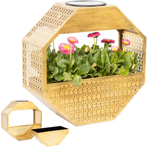 Gadgy Solar-Wandlampe mit Blumentopf – Wandvase hängend mit Warmweißem Solarlicht – Beleuchtete Blumenampel für Balkon & Terrasse – Wetterfeste Gartenbeleuchtung und Pflanzschale mit Licht Gadgy Solar-Wandlampe mit Blumentopf – Wandvase hängend mit Warmweißem Solarlicht – Beleuchtete Blumenampel für Balkon & Terrasse – Wetterfeste Gartenbeleuchtung und Pflanzschale mit Licht von Gadgy