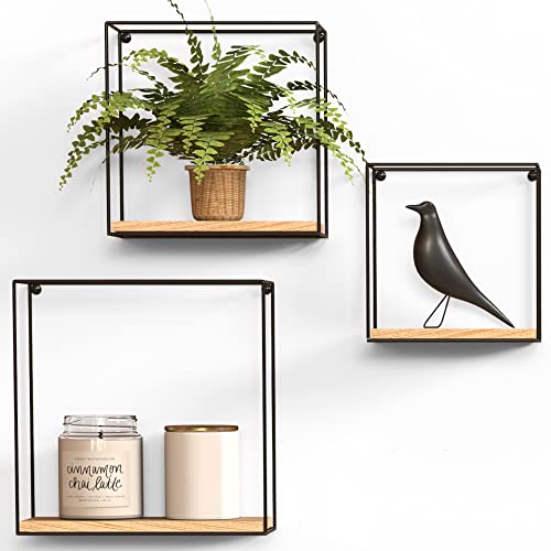 Gadgy Wandregal 3er Set - Schweberegale aus schwarzem Metall mit Holz - Wanddeko Regale für Wohnzimmer, Flur, Küche & Schlafzimmer von Gadgy