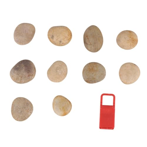 Gadpiparty 1 Satz DIY Malsteinen für Natursteine mit Halterung für Heim und Schulprojekte Zufälliger Stil und Bastelideen für Jungen von Gadpiparty