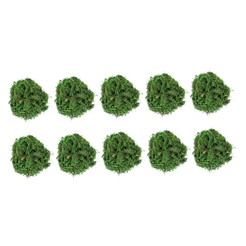 Gadpiparty 10 Stücke Getrocknete Moos Dekorative Natur für Mikro Landschaft Luftgetrocknetes Moos Einfach zu Handhaben für Feengärten Bastelbedarf Gadpiparty 10 Stücke Getrocknete Moos Dekorative Natur für Mikro Landschaft Luftgetrocknetes Moos Einfach zu Handhaben für Feengärten Bastelbedarf von Gadpiparty