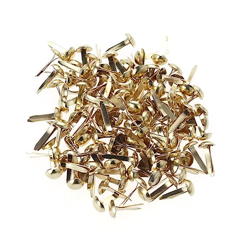 Gadpiparty 100 Stück Kleine Nägel Mit Beinen Bastelbedarf Mini Brad Papierverschlüsse Stecknadeln Bunte Heftklammern Bastelbedarf Farbige Pastellfarben Scrapbooking Stempeln Golden von Gadpiparty