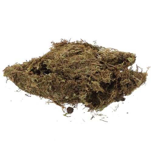 Gadpiparty 2 Packungen Natürliches DIY Moos Getrocknetes für Landschaftsbau Dekoratives Flechtenmoos für Blumentöpfe Pflegeleicht Farblich für Gartendeko und DIY Projekte Gadpiparty 2 Packungen Natürliches DIY Moos Getrocknetes für Landschaftsbau Dekoratives Flechtenmoos für Blumentöpfe Pflegeleicht Farblich für Gartendeko und DIY Projekte von Gadpiparty