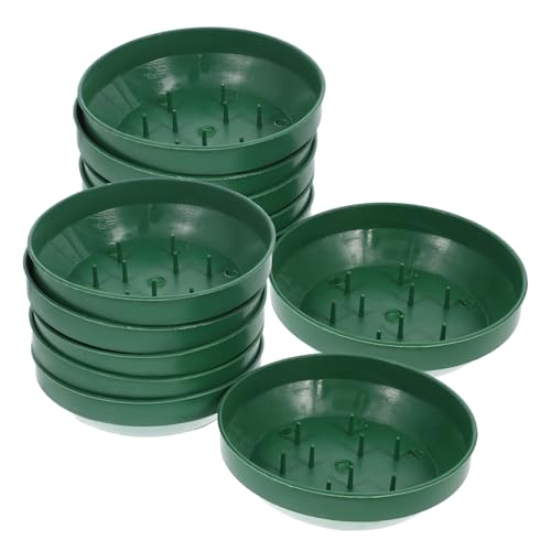 Gadpiparty 25 Stück Teiliges Rundes Blumenarrangement-Schalen- Stabile Kunststoffhalter für Frische Blumen Wiederverwendbar für Hochzeiten Partys und Festliche Tischdekorationen Gadpiparty 25 Stück Teiliges Rundes Blumenarrangement-Schalen- Stabile Kunststoffhalter für Frische Blumen Wiederverwendbar für Hochzeiten Partys und Festliche Tischdekorationen von Gadpiparty