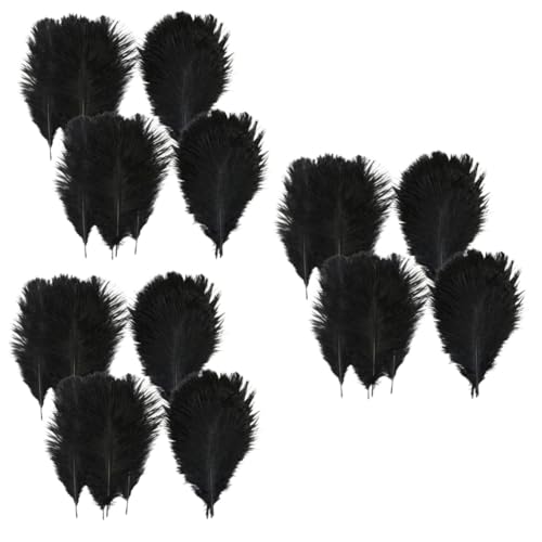 Gadpiparty 3 Sätze Schwarze Straußfedern Für DIY Handwerk Und Partydekoration Natürliche Federn Für Bastelprojekte 20 Stück * 3 Gadpiparty 3 Sätze Schwarze Straußfedern Für DIY Handwerk Und Partydekoration Natürliche Federn Für Bastelprojekte 20 Stück * 3 von Gadpiparty