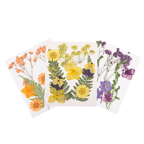 Gadpiparty 3 Sätze Trockenblumen für DIY Bastelprojekte Teiliges Material für Kerzen Schmuckdesign Scrapbooking Bunte und Natürliche Deko für Kreative Anwendungen Gadpiparty 3 Sätze Trockenblumen für DIY Bastelprojekte Teiliges Material für Kerzen Schmuckdesign Scrapbooking Bunte und Natürliche Deko für Kreative Anwendungen von Gadpiparty