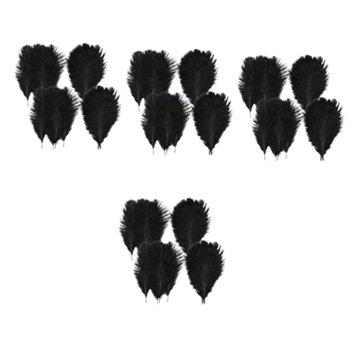 Gadpiparty 4 Sätze Natürliche Schwarze Straußfedern Für DIY Deko Hochzeits Und Partydekoration Für Vasen Bastelprojekte Und Feiern 20 Stück * 4 von Gadpiparty