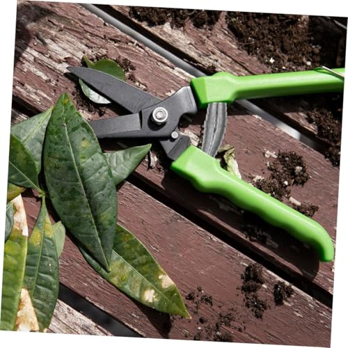 Gadpiparty 5 Stück Teiliges Gartenschere Federn aus Edelstahl Wetterfeste Ersatzfedern für Präzises Beschneiden Hohe Elastizität Einfache Montage Kompatibel mit Verschiedenen Gartenscheren von Gadpiparty