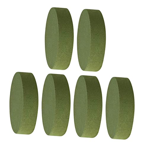 Gadpiparty Runde Blumenschlamm 6 Stück Wasserabsorbierender Steckschaum für Frische und für Hochzeiten und Kreative Blumenarrangements Gadpiparty Runde Blumenschlamm 6 Stück Wasserabsorbierender Steckschaum für Frische und für Hochzeiten und Kreative Blumenarrangements von Gadpiparty