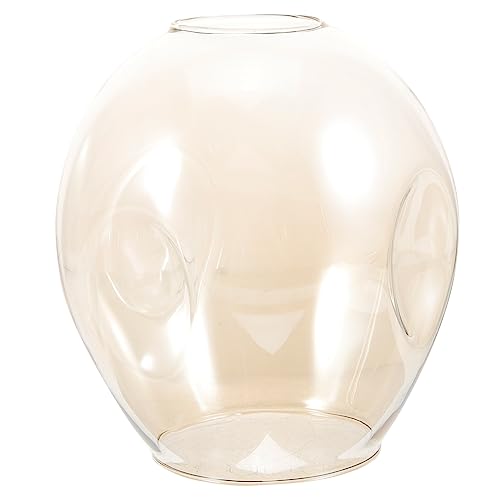 Gadpiparty Lampenschirm für Wandlampe und Kronleuchter Transparente Ersatzabdeckung für Pendelleuchte Farbe Installieren und Geeignet für Verschiedene Einrichtungsstile von Gadpiparty