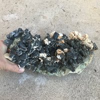 11 Zoll Breite Epidot Gruppe Mit Calcit Fast 10, 5 Pfund 11 Zoll Breite Epidot Gruppe Mit Calcit Fast 10, 5 Pfund von GadsdenGem