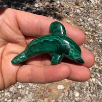 7 cm Malachit-Delfin von GadsdenGem