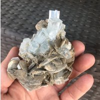 Aquamarine Crystal Cluster Mit Muscovit 183 Gramm Aquamarine Crystal Cluster Mit Muscovit 183 Gramm von GadsdenGem
