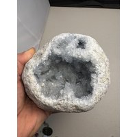 Celestit Kristall Geode Celestit Kristall Geode von GadsdenGem