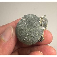 Prehnit in Botryoidform Mit Epidot Prehnit in Botryoidform Mit Epidot von GadsdenGem