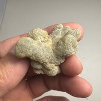 Prehnit in Botryoidform Mit Epidot von GadsdenGem