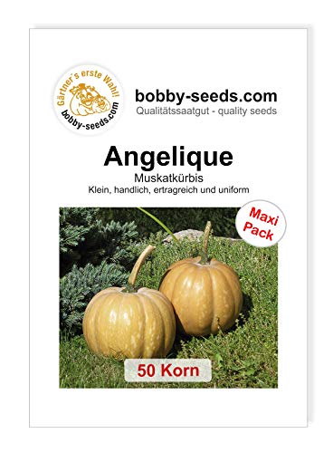 Angelique Kürbissamen von Bobby-Seeds, 50 Korn von Gärtner's erste Wahl! bobby-seeds.com