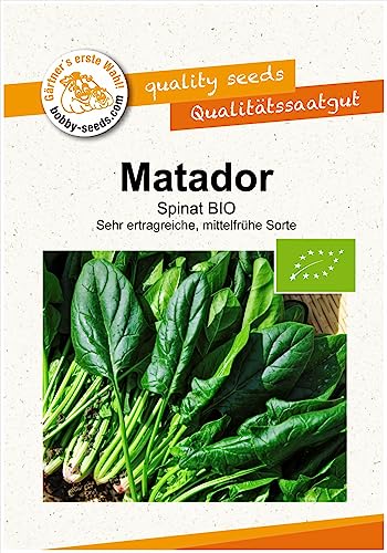 BIO-Gemüsesamen Matador Spinat Portion von Gärtner's erste Wahl! bobby-seeds.com