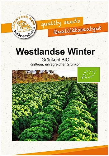 BIO-Kohlsamen Westlandse Winter Grünkohl Portion von Gärtner's erste Wahl! bobby-seeds.com