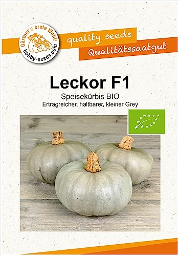 BIO-Kürbissamen Leckor F1 Portion von Gärtner's erste Wahl! bobby-seeds.com