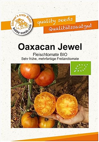 BIO-Tomatensamen Oaxacan Jewel Fleischtomate Portion von Gärtner's erste Wahl! bobby-seeds.com