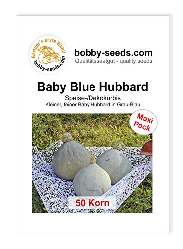 Baby Blue Kürbissamen von Bobby-Seeds, 50 Korn von Gärtner's erste Wahl! bobby-seeds.com