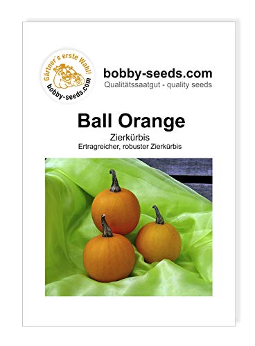 Ball Orange Zierkürbis von Bobby-Seeds, Portion von Gärtner's erste Wahl! bobby-seeds.com