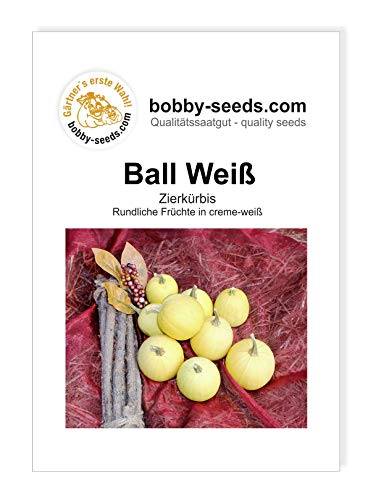 Ball Weiß Zierkürbis von Bobby-Seeds, Portion von Gärtner's erste Wahl! bobby-seeds.com