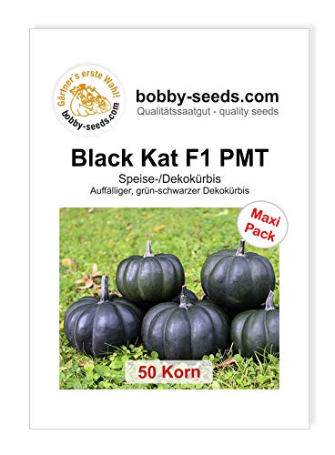 Black Kat F1 PMT Kürbissamen von Bobby-Seeds 50 Korn von Gärtner's erste Wahl! bobby-seeds.com