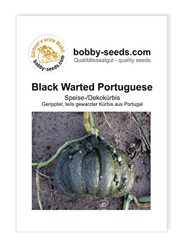 Black warted Portuguese Kürbissamen von Bobby-Seeds, Portion von Gärtner's erste Wahl! bobby-seeds.com