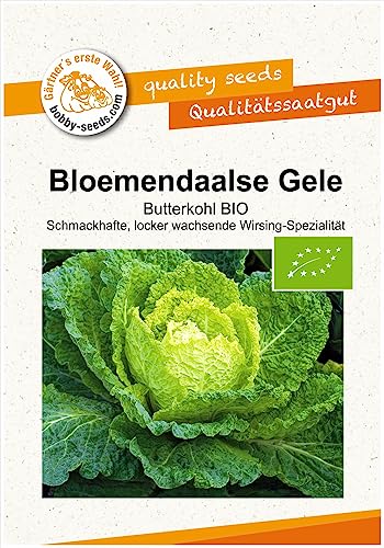 BIO-Kohlsamen Bloemendaalse Gele Butterkohl Portion von Gärtner's erste Wahl! bobby-seeds.com