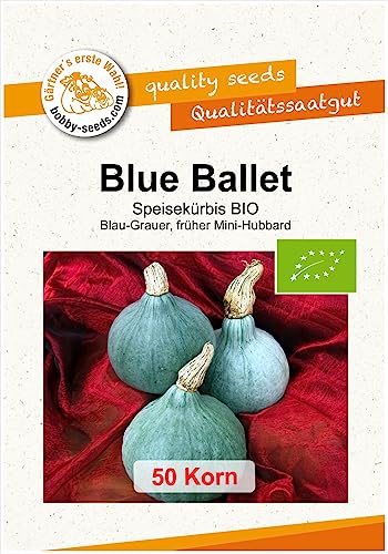 Blue Ballet BIO Kürbissamen von Bobby-Seeds 50 Korn von Gärtner's erste Wahl! bobby-seeds.com