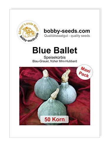 Blue Ballet Kürbissamen von Bobby-Seeds, 50 Korn von Gärtner's erste Wahl! bobby-seeds.com