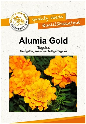 Blumensamen Alumia Gold, Tagetes Portion von Gärtner's erste Wahl! bobby-seeds.com