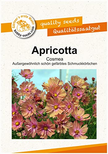 Blumensamen Apricotta Cosmee Portion von Gärtner's erste Wahl! bobby-seeds.com