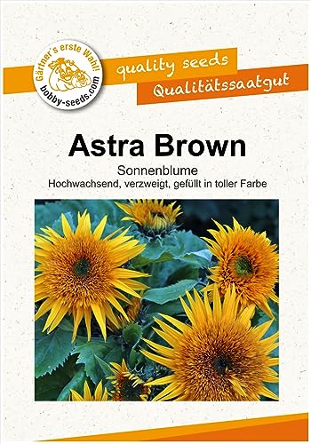 Blumensamen Astra Brown F1 Sonnenblume Portion von Gärtner's erste Wahl! bobby-seeds.com