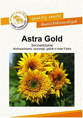 Blumensamen Astra Gold F1 Sonnenblume Portion von Gärtner's erste Wahl! bobby-seeds.com