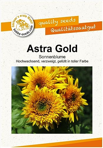 Blumensamen Astra Gold F1 Sonnenblume Portion Blumensamen Astra Gold F1 Sonnenblume Portion von Gärtner's erste Wahl! bobby-seeds.com