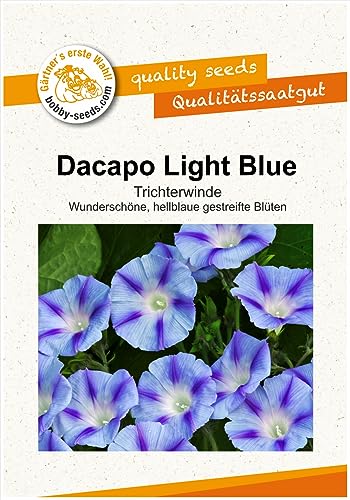 Blumensamen Dacapo Light Blue Prunkwinde Portion von Gärtner's erste Wahl! bobby-seeds.com