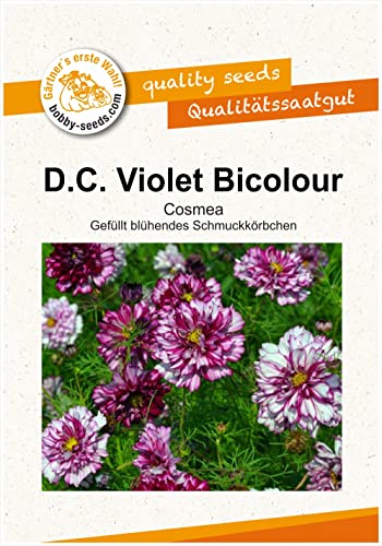 Blumensamen Double Click Violet Bicolor Cosmee Portion von Gärtner's erste Wahl! bobby-seeds.com