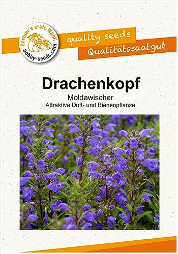 Blumensamen Drachenkopf Moldawischer Portion von Gärtner's erste Wahl! bobby-seeds.com