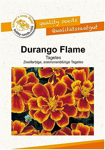 Blumensamen Durango Flame, Tagetes Portion von Gärtner's erste Wahl! bobby-seeds.com