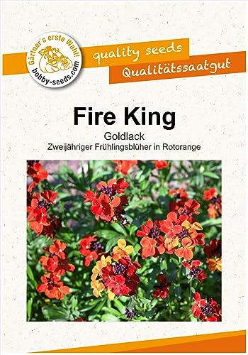 Blumensamen Fire King Goldlack Portion von Gärtner's erste Wahl! bobby-seeds.com