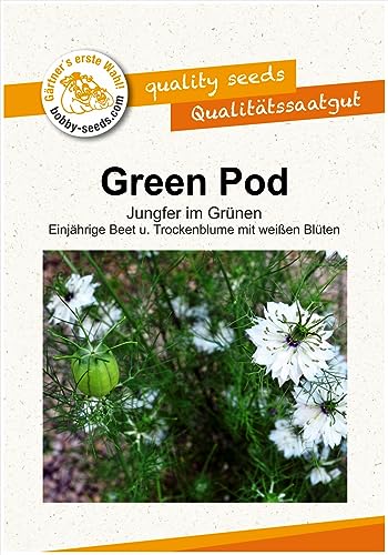 Blumensamen Green Pod, Nigella Portion von Gärtner's erste Wahl! bobby-seeds.com