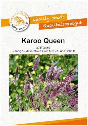 Blumensamen Karoo Queen Ziergras Portion von Gärtner's erste Wahl! bobby-seeds.com