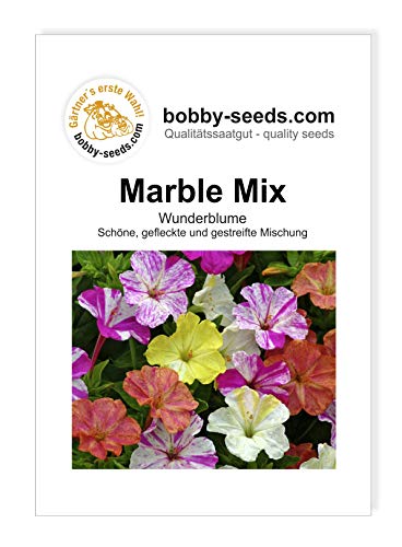 Blumensamen Marble Mix Mirabilis Portion von Gärtner's erste Wahl! bobby-seeds.com