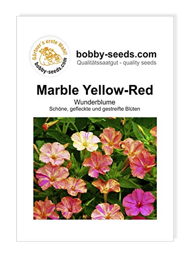 Blumensamen Marble Yellow-Red Mirabilis Portion von Gärtner's erste Wahl! bobby-seeds.com