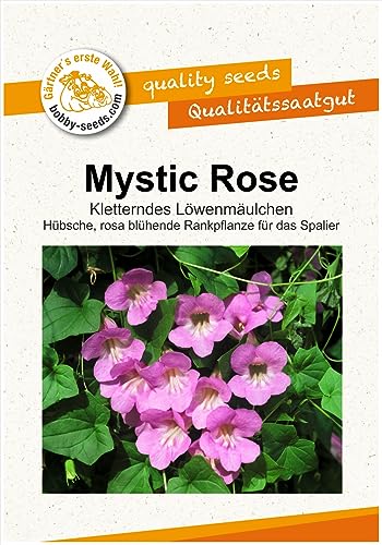 Blumensamen Mystic Rose kletterndes Löwenmäulchen Portion von Gärtner's erste Wahl! bobby-seeds.com