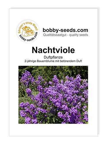 Blumensamen Nachtviole Hesperis Portion von Gärtner's erste Wahl! bobby-seeds.com